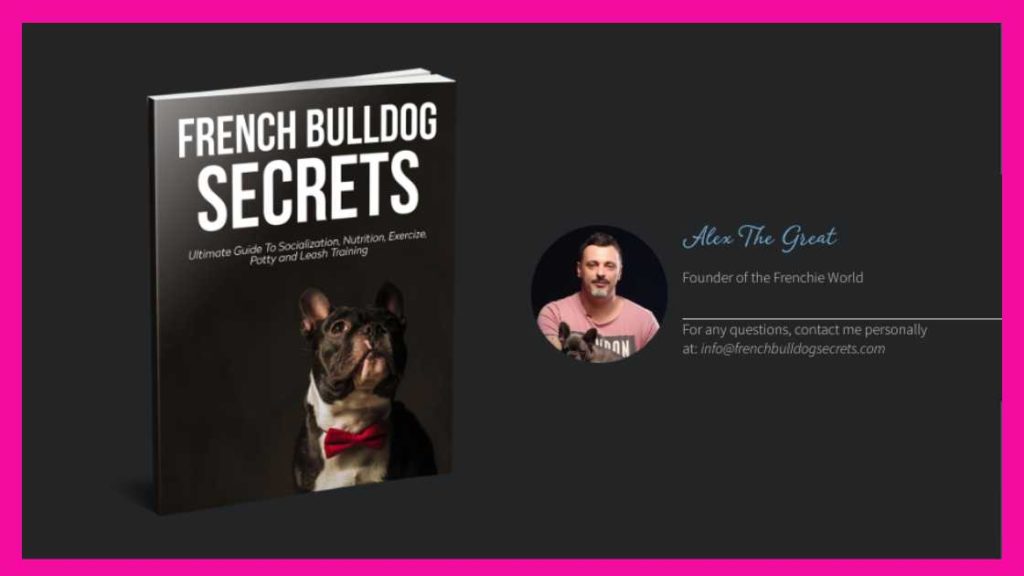 Aleksandar Gligorić, serijski poduzetnik iz Srbije - napravio je knjigu French Bulldog Secretst 